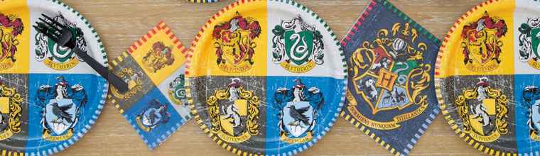 Harry Potter Party